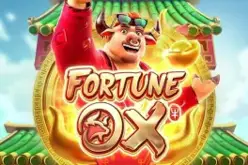 Fortune Ox